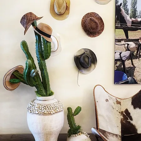 Bellariva 3* Lido di Jesolo