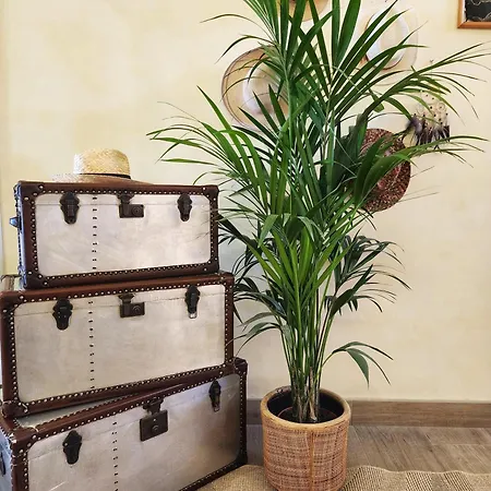 Hotel Bellariva Lido di Jesolo