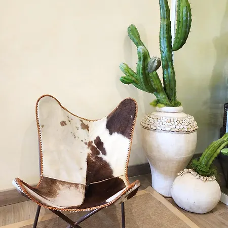 Bellariva Lido di Jesolo