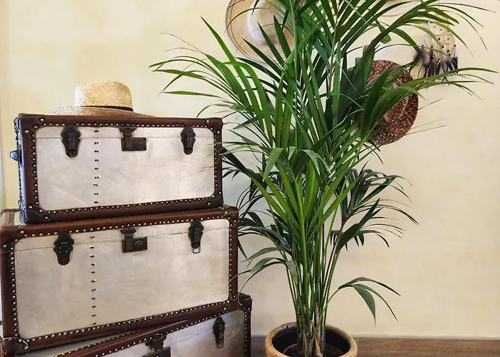 Otel Bellariva Lido di Jesolo