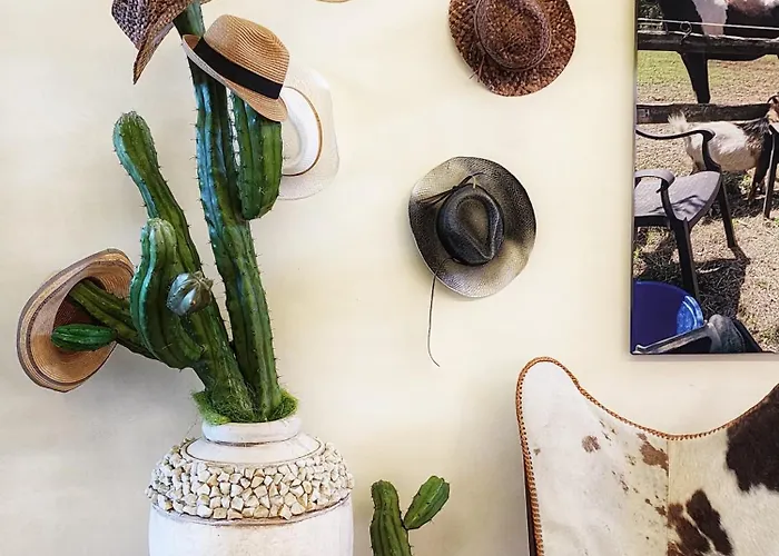 Bellariva 3* Lido di Jesolo